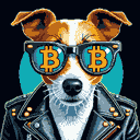 BTC Shades aussiedoodle